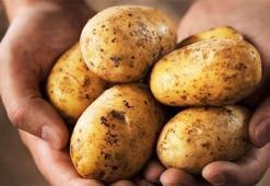 Patates fiyatları dibi gördü