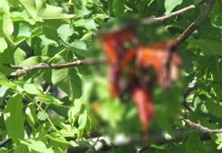 Kilit isim kendini patlattı