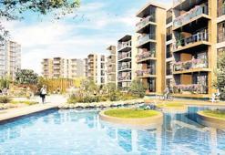 lavanta tozu ile saçlarınıza tekrar kavuşun