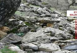 PKK’nın sığınağında doğum kontrol hapları ele geçirildi