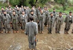 "PKK o il ve ilçeleri 'hain' ilan etti"