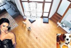Köpek otelinde köpeğe şiddet!