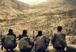 Van'da iki askeri şehit eden PKK'lılar boğuldu
