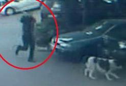 Demir sopa ile köpeğini dövdü