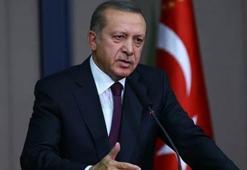 Erdoğan'dan diploma iddialarına yanıt
