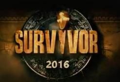 Survivor 2016'da kim elenecek? Survivor dokunulmazlık oyununu kim kazandı?