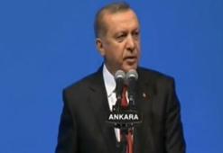 Erdoğan'dan AP'ye sert tepki: Mesajınız nereye?