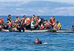 BM açıkladı: Rekor seviyede
