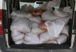 Edirne'de 1 ton kaçak et ele geçirildi!