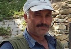 Arı sokması sonrası hayatını kaybetti