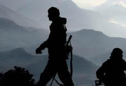 Hakkari'de bir PKK'lı teslim oldu