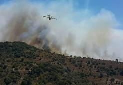 Bodrum'da makilik alanda yangın