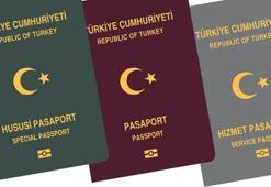 Gri ve yeşil pasaporta inceleme