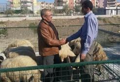 Kurban bayramı tatili kaç gün oldu? Kurban Bayramı ne zaman?