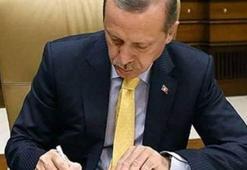 Cumhurbaşkanı, Danıştay üyeliğine Mahioğlu'nu seçti