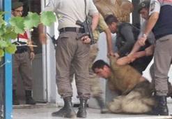 Küp şeker, erik ve mısır yiyerek beslenmişler