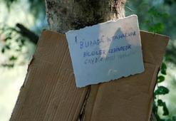 Ağaca intihar notu asıp ırmağa atladı