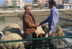 Kurban fiyatları belli oldu