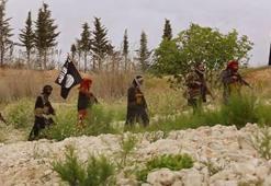Suudi adam ‘kilo vermek’ için IŞİD’in eğitim kampına katıldı