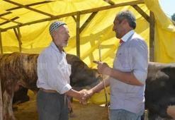 Hayvan pazarlarında hareketlilik başladı