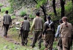 PKK'nın Suriye oyunu