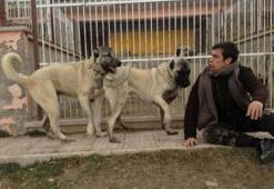 İbrahim Çelikkol Köpeklerini sete götürdü, kriz çıktı!