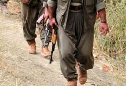 TSK'dan PKK'ya yönelik operasyon açıklaması!