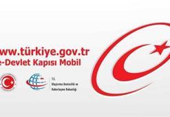 E-devlet sistemi nasıl kullanılıyor? Şifre gerekli mi?