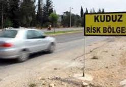 Osmaniye'de kuduz karantinası