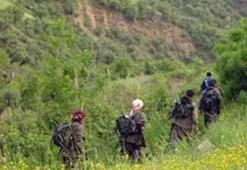Karadeniz PKK’ya kabus oldu