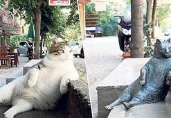 Tombili’nin heykeli yapıldı