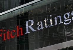 Fitch'in Türkiye raporu