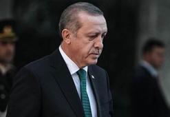 Erdoğan'a 'at izi it izine karıştı' sözünü söyleten hata