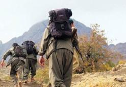 PKK'lı oğlunu ziyarete giden kadın hava harekatında öldü