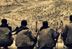 Şeyh Şemo: PKK Musul operasyonuna katılacak