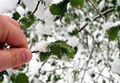 Meteoroloji'den zirai don uyarısı