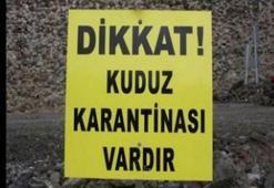 Afyonkarahisar'da kuduz karantinası