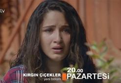 Kırgın Çiçekler 56. bölüm fragmanında Kader kardeşini arıyor!