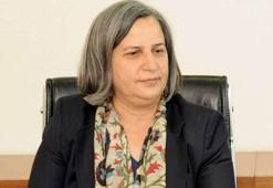 Diyarbakır Belediye Başkanı Gültan Kışanak gözaltına alındı
