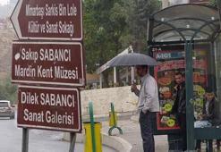 Mardin'de 'asit yağmuru' tedirginliği