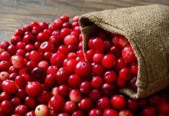 Cranberry (Turna Yemişi) 'ni Her Gün Tüketirseniz!