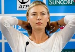 Sharapova görevine geri dönüyor