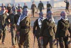 "PKK'nın Sincar'da 2 bin 500 militanı var"