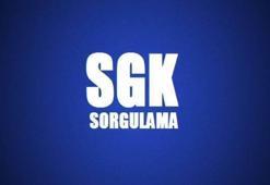 SSK Bağ-Kur sorgulama hizmeti ile hangi bilgilerime erişebilirim?