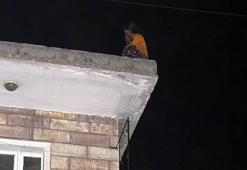 21 bin liralık ceza çatıya çıkarttı