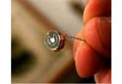 Savcılık 4 böceğin peşinde