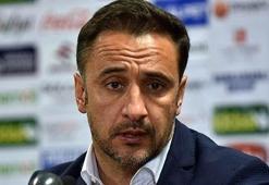 Pereira'dan Fenerbahçe için şaşırtan sözler!