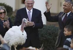 Obama, başkan olarak son kez hindi affetti