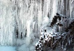 Ardahan Göle: -24.6