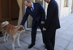 Putin, Japonların hediyesini reddetti